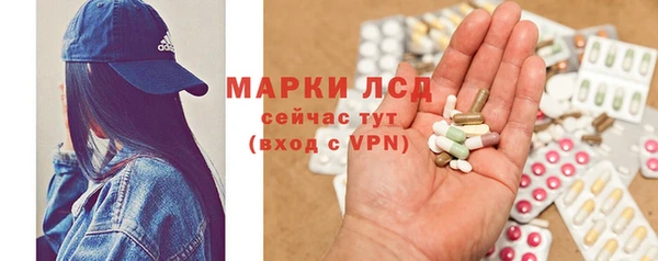 мдпв Новозыбков