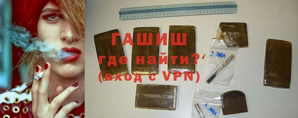 амф Гатчина