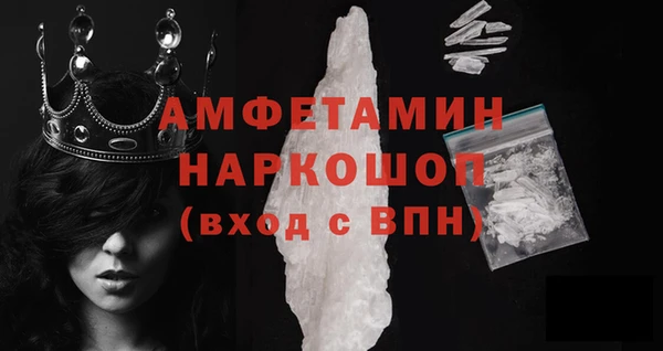амф Гатчина