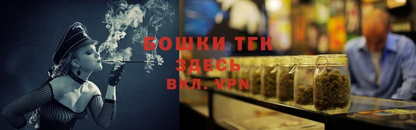 амф Гатчина