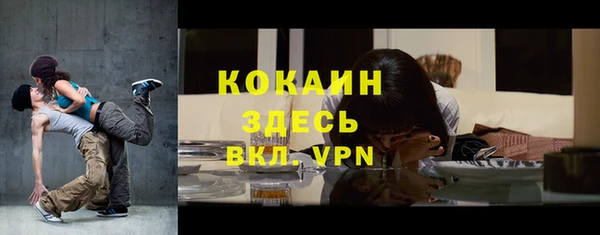 амф Гатчина