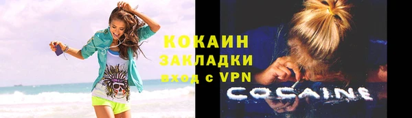 амф Гатчина