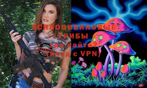 мдпв Новозыбков