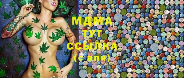мдпв Новозыбков