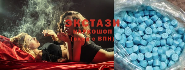 амф Гатчина