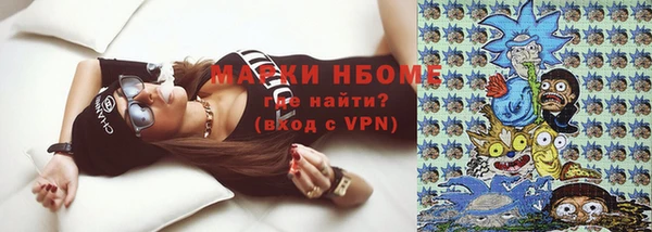 амф Гатчина