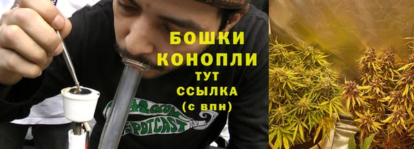 амф Гатчина