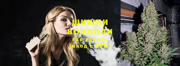 амф Гатчина