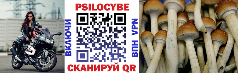 Псилоцибиновые грибы мицелий  Орёл 
